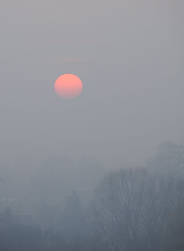 Sonnenaufgang im Nebel bei -3°C