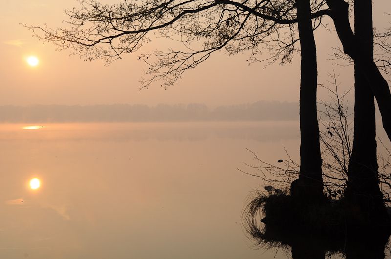 Morgens am See